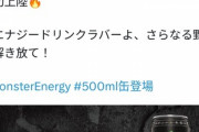 モンスターエナジー､本場アメリカ定番サイズ500ml缶が日本で発売