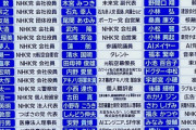 【画像】NHK党、都知事選の立候補者が多すぎるｗｗｗ