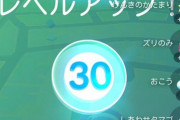 【ポケモンGO】今トレーナーレベルをがんばって30にしてみるわ