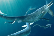 5mの魚竜の胃になんと4m級の獲物、定説覆す2億4000万年前の化石を発見！