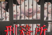 NHK「ねほりんぱほりん」でヤバい単語が飛び交うｗｗｗｗｗｗ