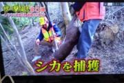 【話題】「動物を犠牲にするな！」 ヴィーガン＆ミニマリスト＆れいわ支持者の男性がシカ狩猟番組に発狂