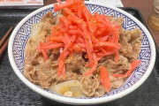 牛丼に紅しょうがを山盛りにする奴とは友達になれない