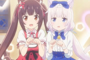 【ネコぱら】ショコラちゃんとバニラちゃんが可愛い過ぎてずっと見ていたい