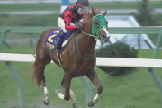 イッテラッシャイ、不来方賞を圧勝