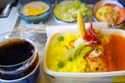 【悲報】 ANA、JAL「あのさぁ…ぶっちゃけ機内食とかいらないよね？?」