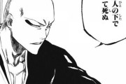 【朗報】BLEACH斑目一角さんの卍解、ガチのマジでかっこよすぎるｗｗｗｗｗ
