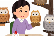 猫カフェ、豆柴カフェ、フクロウカフェ　←１番行きたいのは？