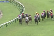 デビュー競馬場別出世頭だと思う馬