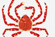 【幻の珍味】世界一大きな甲殻類・タカアシガニ、コロナ禍で大量売れ残り