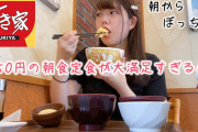 すき家の牛丼とかいうネタ抜きで不味い料理