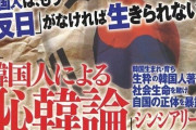 【韓国の反応】韓国人「日本の嫌韓を見れば、韓国の反日など甘すぎる！」