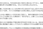 在日アメリカ人「日本はもろくて奇跡的にバランスの取れている民主主義国。皆様は宝くじに当たった」 |  底辺にはだんとつで一番優しい国だろうな