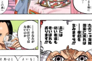 【画像】ワンピースの女帝ボア・ハンコックさん、無能だった