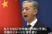 【ｗ】Ｇ７外相の議長声明に中国激怒「中国のイメージに泥を塗った！」
