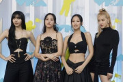 「BLACKPINKのコンサート行かない」…ベトナムのファンが不買運動、なぜ？＝韓国の反応