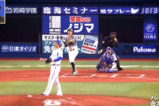 プロ野球選手100人分の1位　パワーヒッター部門2021