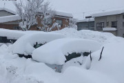 【画像あり】新潟の雪の降り方がヤバいだろコレ　新潟全体がかまくらになっちまうレベル