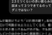 ChatGPT、どんどん人間味が増す 突然〇〇するところが観測される
