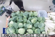 【動画】激安スーパーで相次ぐ迷惑行為がやばすぎるｗｗｗｗ