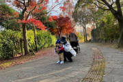 高城亜樹「歩けるようになってから公園行くのが楽しいねぇー❤?」