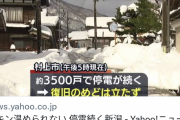 Yahooニュース「チキン温められない 停電続く新潟」