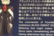 シュラ「C.E.最強の戦士はアスラン」←これ