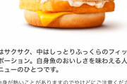 マクドナルドのフィレオフィッシュって350円にしては具がしょぼくない？
