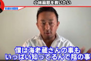 【悲報】小林麻耶に心強い援軍・・・　ガーシー「海老蔵の裏の顔、全部暴露します」