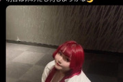 【悲報】ワイのX、うっかりぽっちゃり女子の自撮りをいいねした結果ぽっちゃりしか流れなくなる