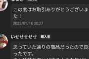 【速報】メルカリ3DS盗品嘘松事件、ニュースになって取り返しが付かなくなってしまう…