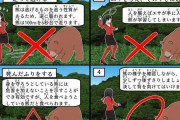 世の中一番怖いの、結局は熊じゃない？