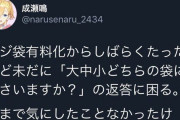 Vtuber 【成瀬鳴】ツイッターのセンスがにじさんじトップ3に入るレベルな件ｗｗｗガワ戻ったし人気出るで