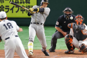 【阪神】糸井、菅野から２安打１打点　３試合ぶりスタメン出場