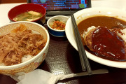 カレー牛丼食いにきた