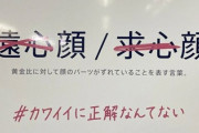女さん「ルッキズムを煽る広告、許さない…！秋葉原にも貼れよ！」
