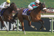 【競馬】ノーザンの使い分けがマスコミでさほど大きく批判されないのは何故？