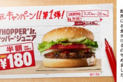 バーガーキング「お客様への還元を最優先すべく、大物タレントに金かけるのやめました！」←これ