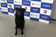 【朗報】モモタロウ(犬)、成田空港でスーツケースに隠された8000万円相当の“◯◯”発見ｗｗｗｗｗ
