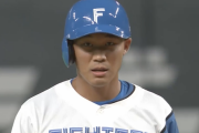王柏融さん、センターオーバーの痛烈二塁打放ち2打席で交代