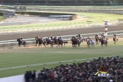 ●エイシンフラッシュ後継誕生