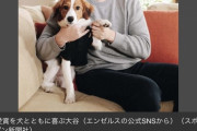 大谷翔平さん、犬を飼う