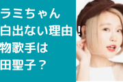 ハラミちゃんが紅白しない理由はドラクエ？大物歌手は松田聖子？