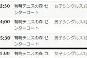 【悲報】ジョコビッチ「暑すぎる…夜からやれ」メドベージェフ「これまでプレーした中で最悪の部類」