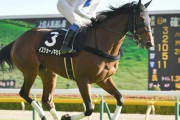 【競馬】　マーメイドステークス(GⅢ) 2chレスまとめ