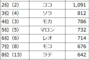 人気の「犬の名前」ランキング2023、1位は?(アニコム損保調べ) |  ムギ、なんて聞かんな