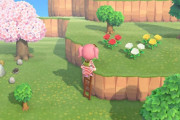 【あつまれどうぶつの森】高跳び棒とはしごが面倒すぎる…