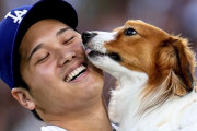 大谷翔平の愛犬が初観戦した時の様子に全米騒然！←「マウンドに立たせろ！」（海外の反応）