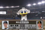 今日の種市の内容次第でロッテファンはもう今年野球を見ないという風潮…