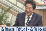 【ポスト安倍】メディア視聴傾向で違い　ネットは河野太郎、テレビ・新聞は石破茂（朝日新聞世論調査）